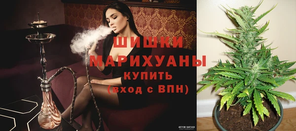 мяу мяу мука Богданович